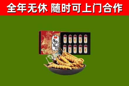万荣县回收冬虫夏草价格